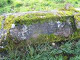 image of grave number 461453